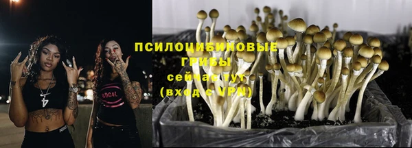 ПСИЛОЦИБИНОВЫЕ ГРИБЫ Абдулино
