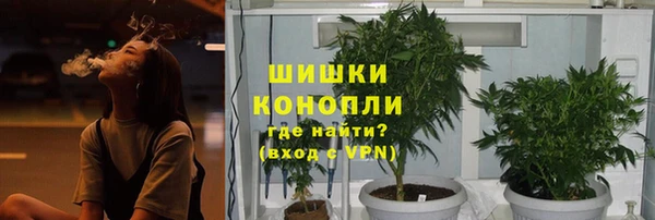 ПСИЛОЦИБИНОВЫЕ ГРИБЫ Абдулино