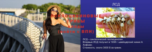 ПСИЛОЦИБИНОВЫЕ ГРИБЫ Абдулино