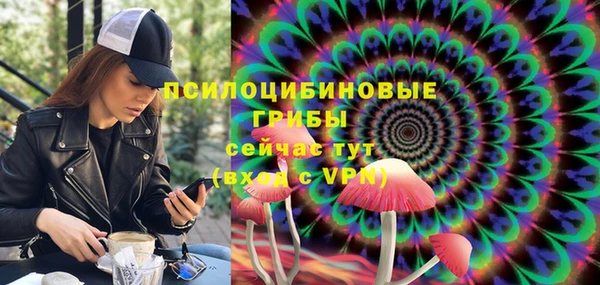 ПСИЛОЦИБИНОВЫЕ ГРИБЫ Абдулино