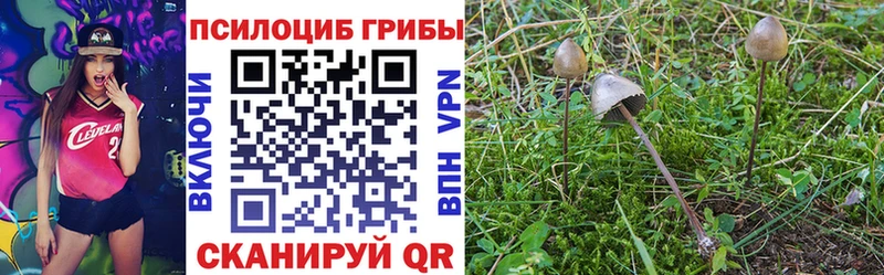 hydra как зайти  Брюховецкая  Псилоцибиновые грибы Cubensis 